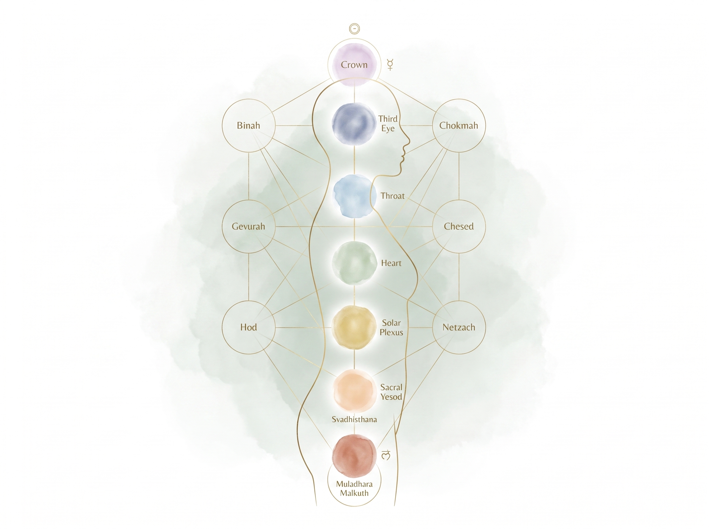 Chakras as Spheres of Light